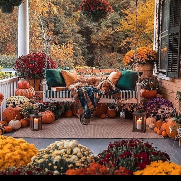 Thanks for stopping by!!  All offers welcome. - Picture 6 of 14